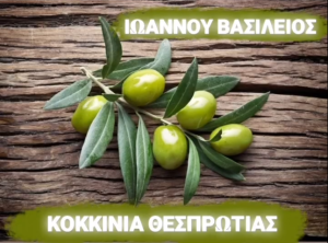 xorigoi 7