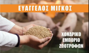 xorigoi 8